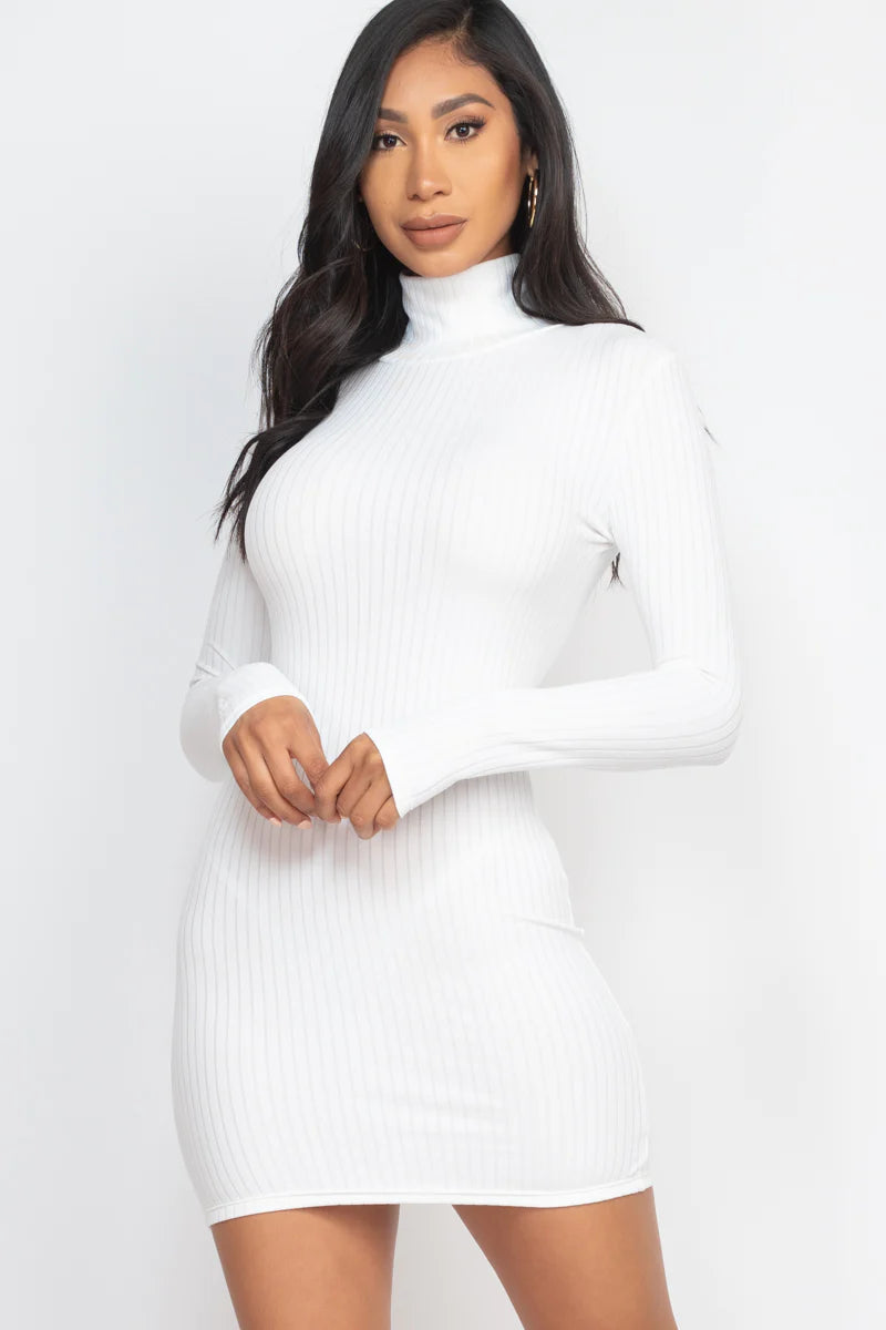 FALL Ribbed Mock Neck Bodycon Mini Dress