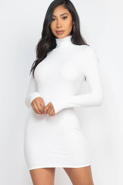 FALL Ribbed Mock Neck Bodycon Mini Dress