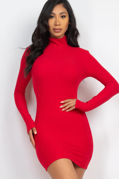 FALL Ribbed Mock Neck Bodycon Mini Dress