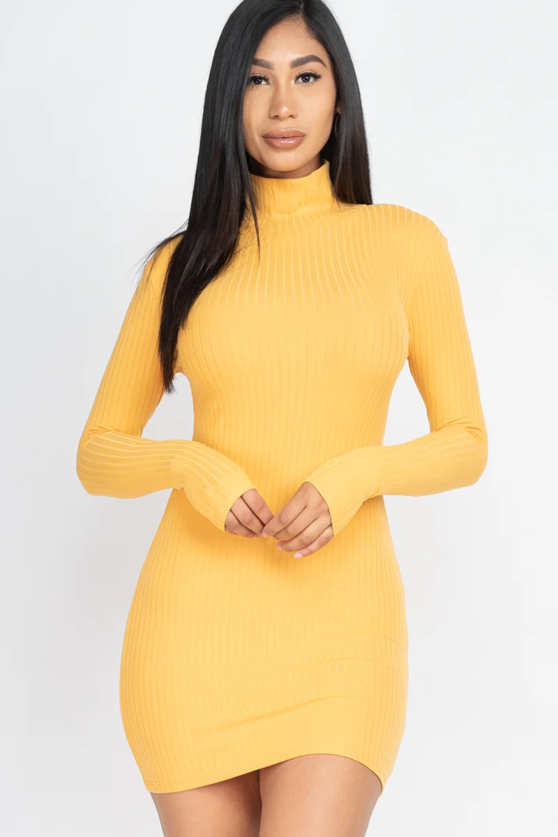 FALL Ribbed Mock Neck Bodycon Mini Dress