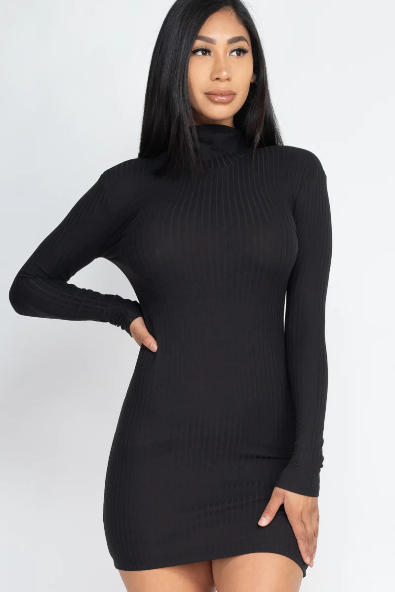FALL Ribbed Mock Neck Bodycon Mini Dress