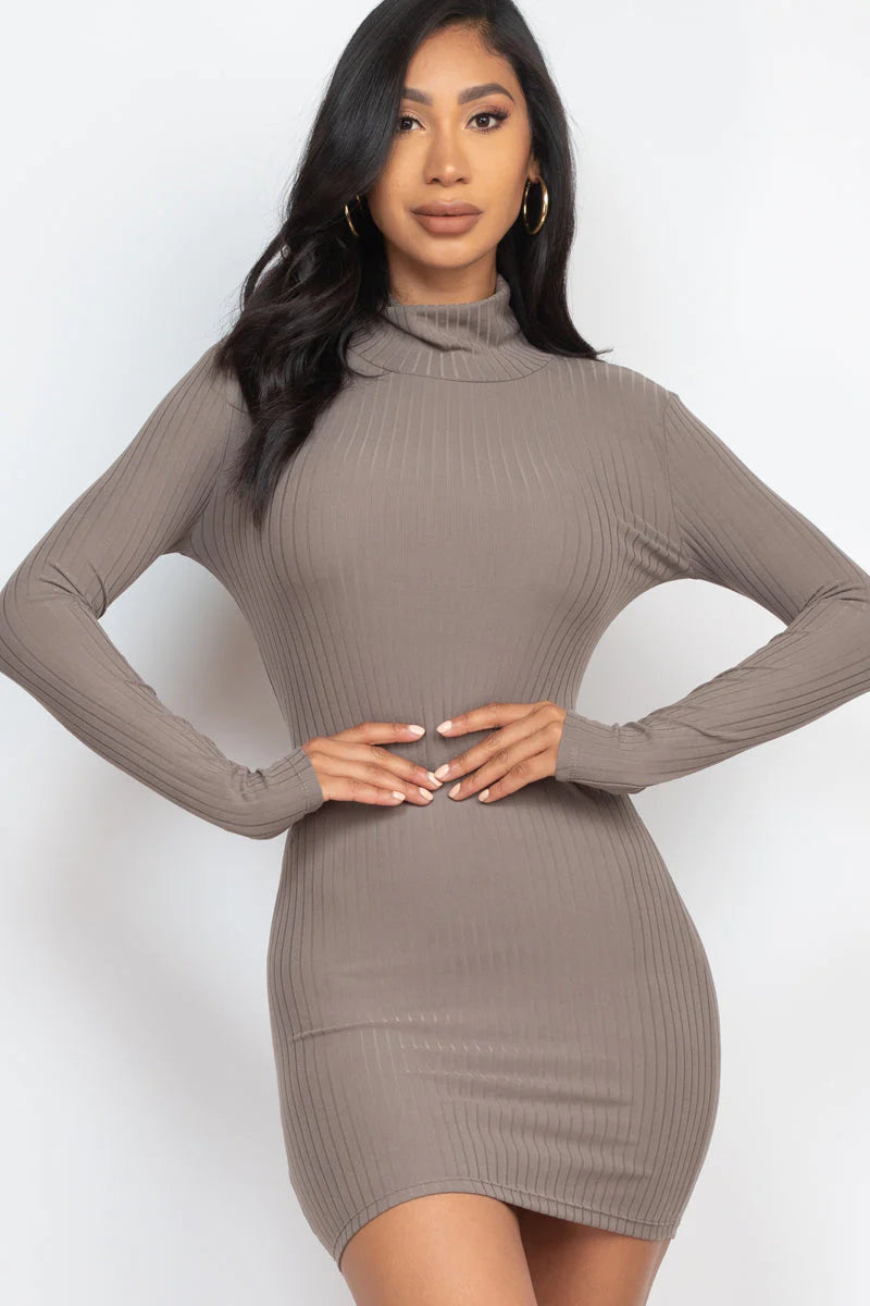 FALL Ribbed Mock Neck Bodycon Mini Dress